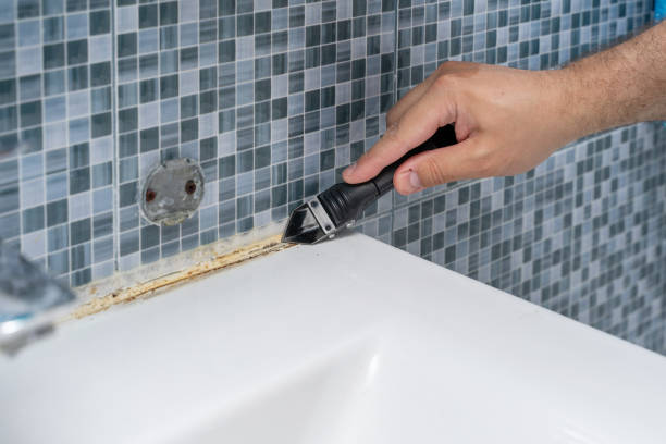 Best Residential Mold Removal  in Blowing Rock, NC