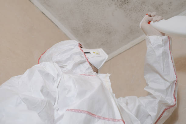 Blowing Rock, NC Mold Removal Company